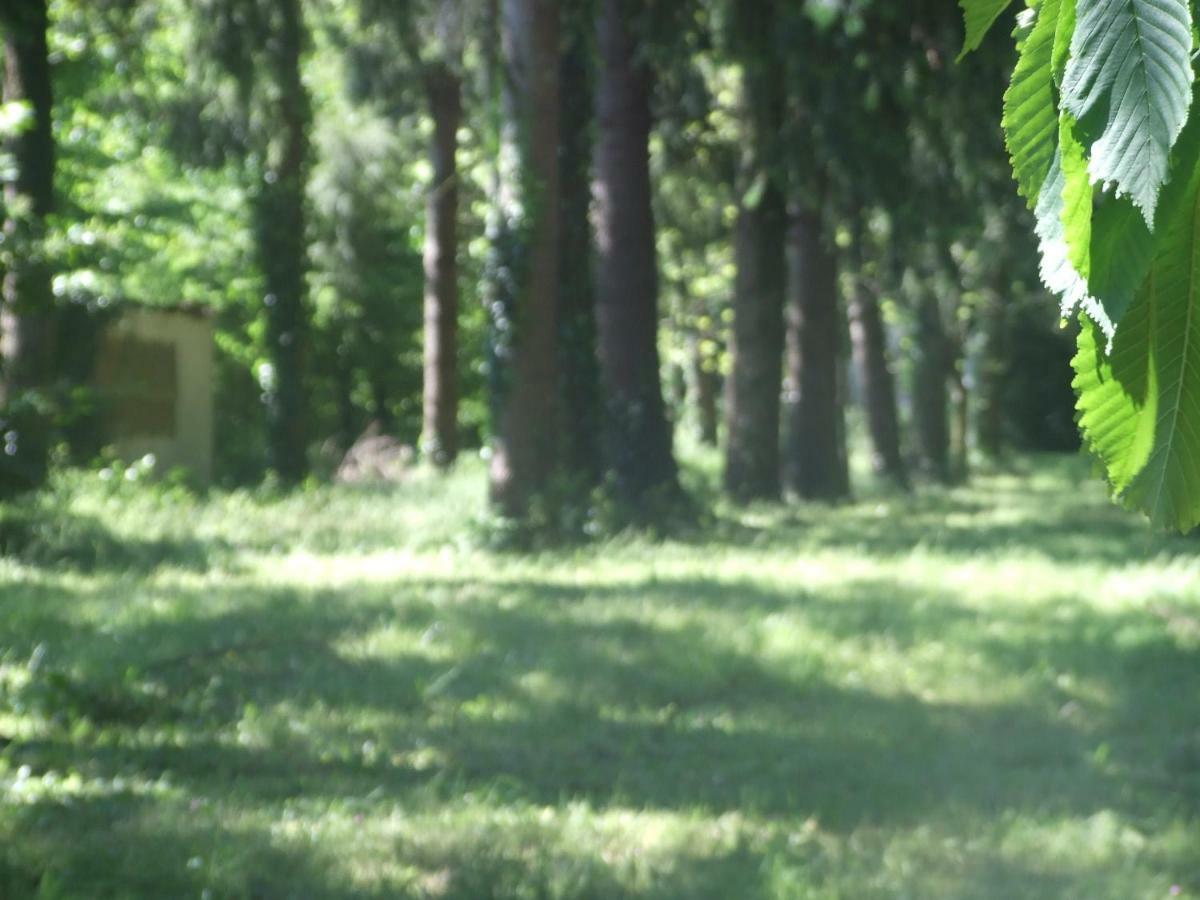 Mervent L'Auberge De La Foret מראה חיצוני תמונה